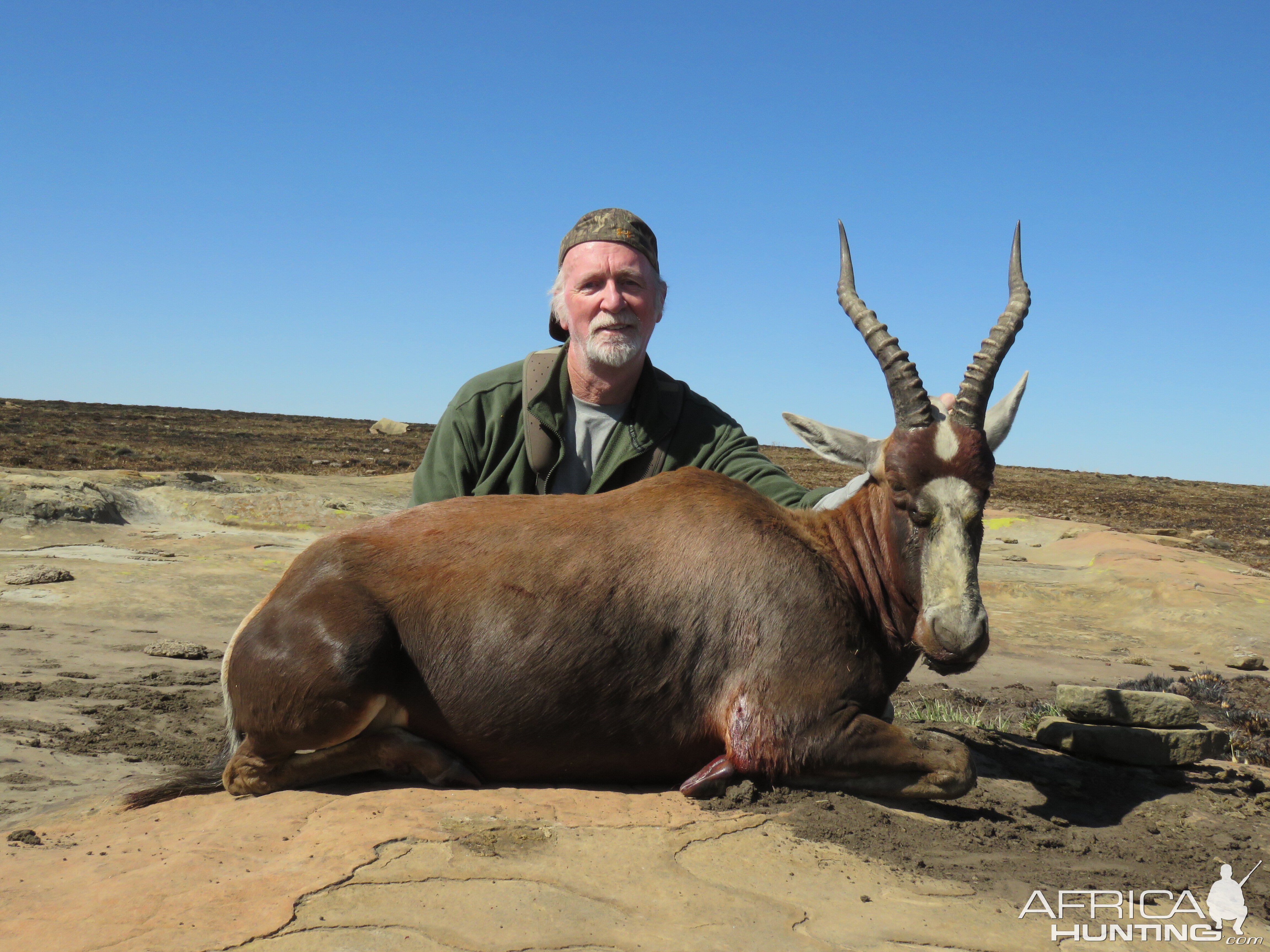 South Africa Hunting Blesbok