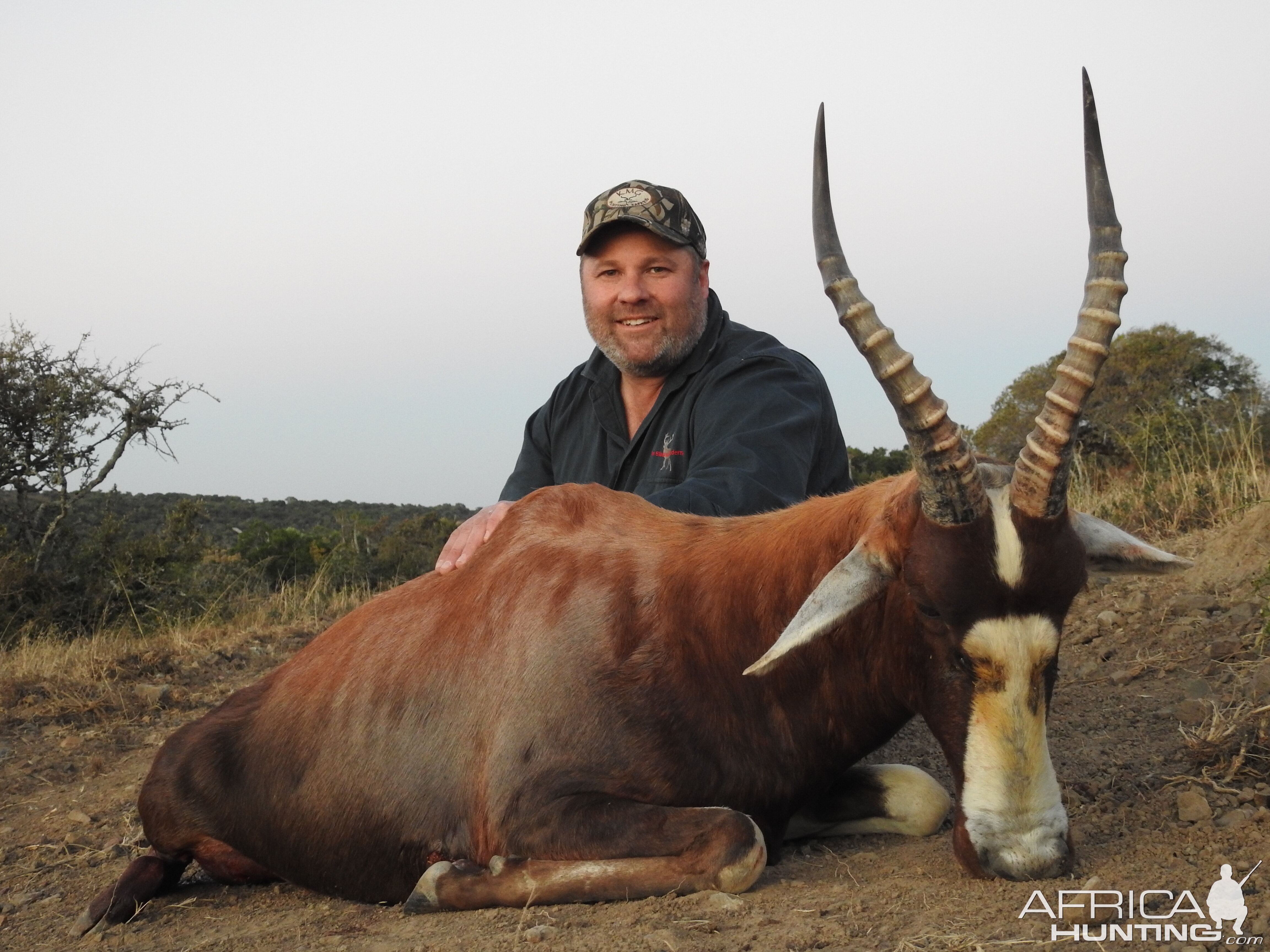 South Africa Hunting Blesbok