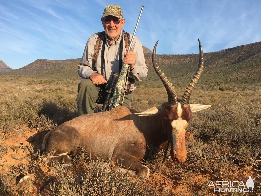 South Africa Hunting Blesbok