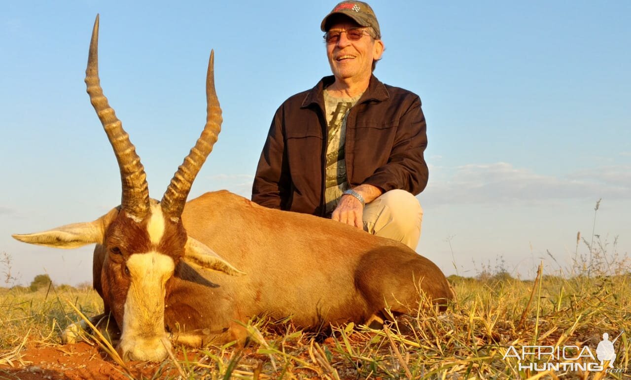 South Africa Hunting Blesbok