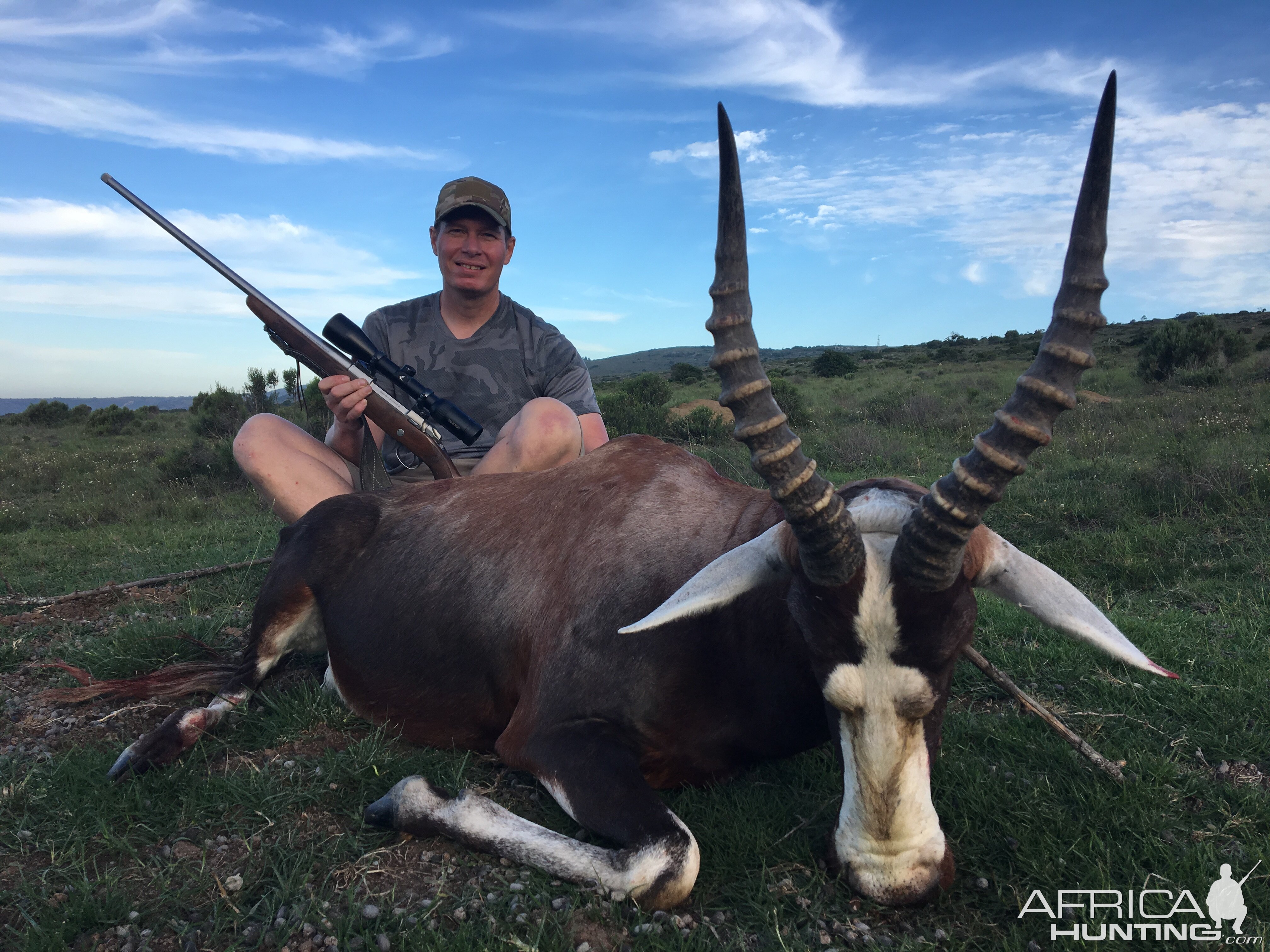 South Africa Hunting Blesbok