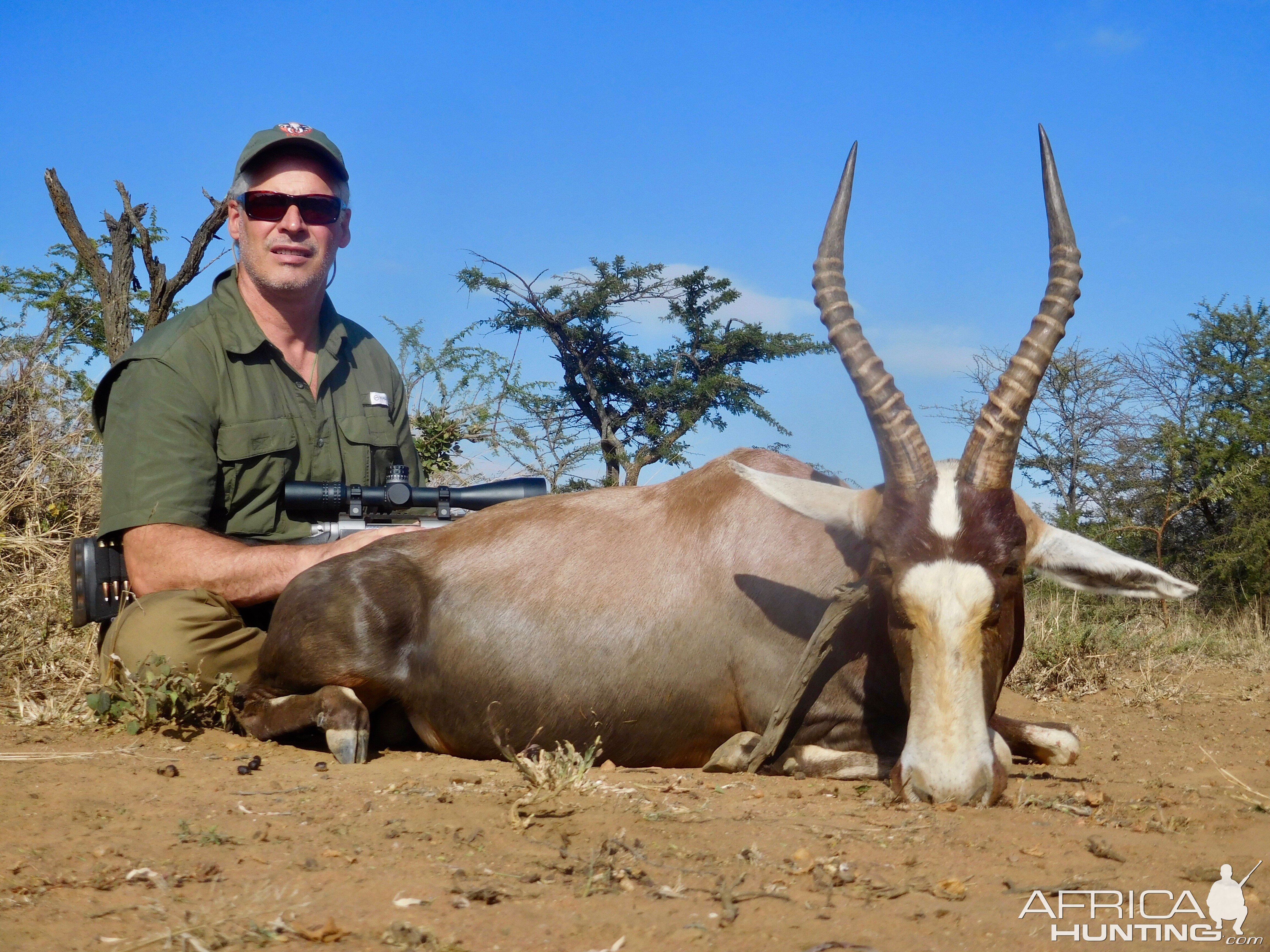 South Africa Hunting Blesbok