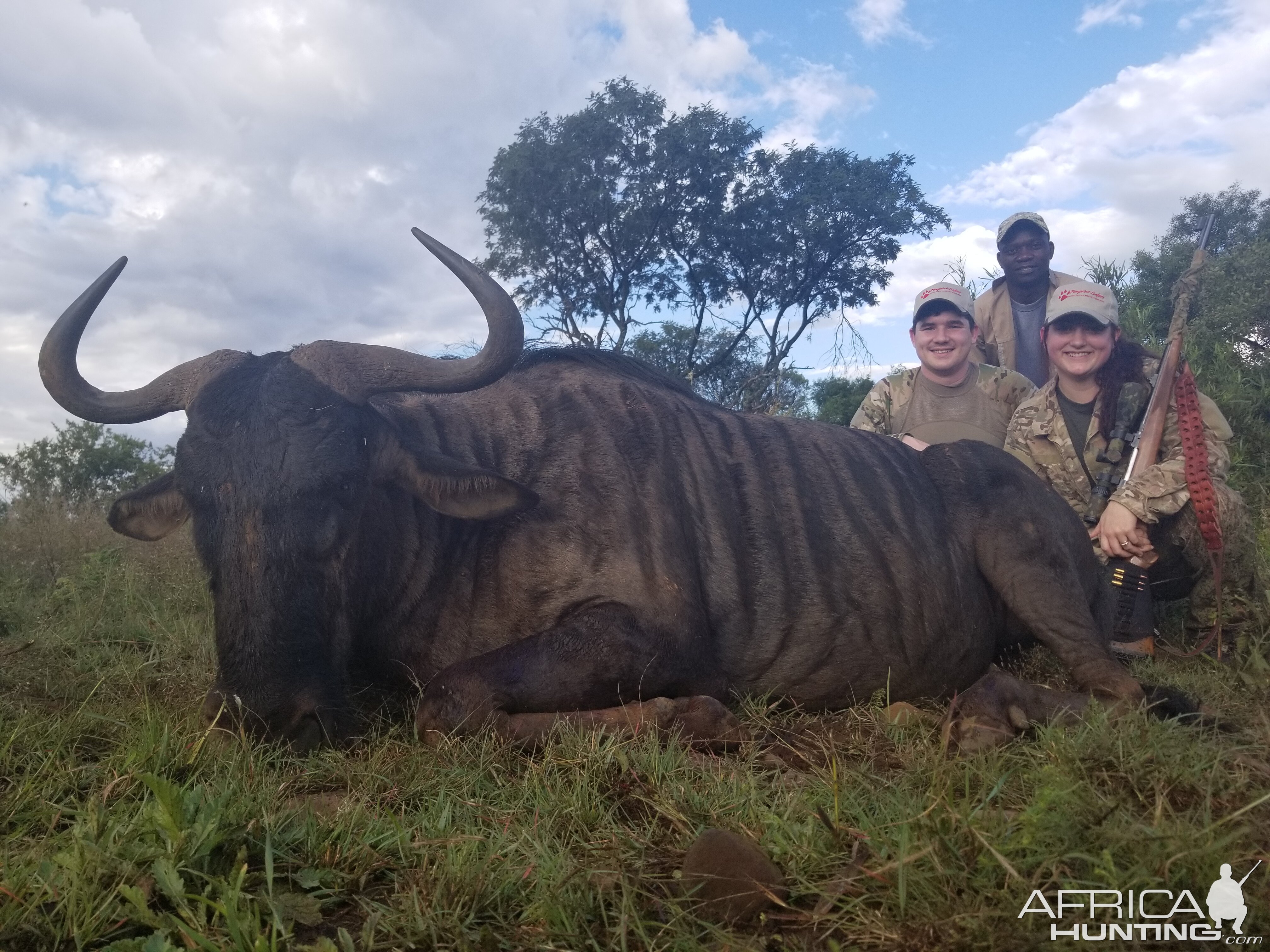 South Africa Hunting Blue Wildebeest