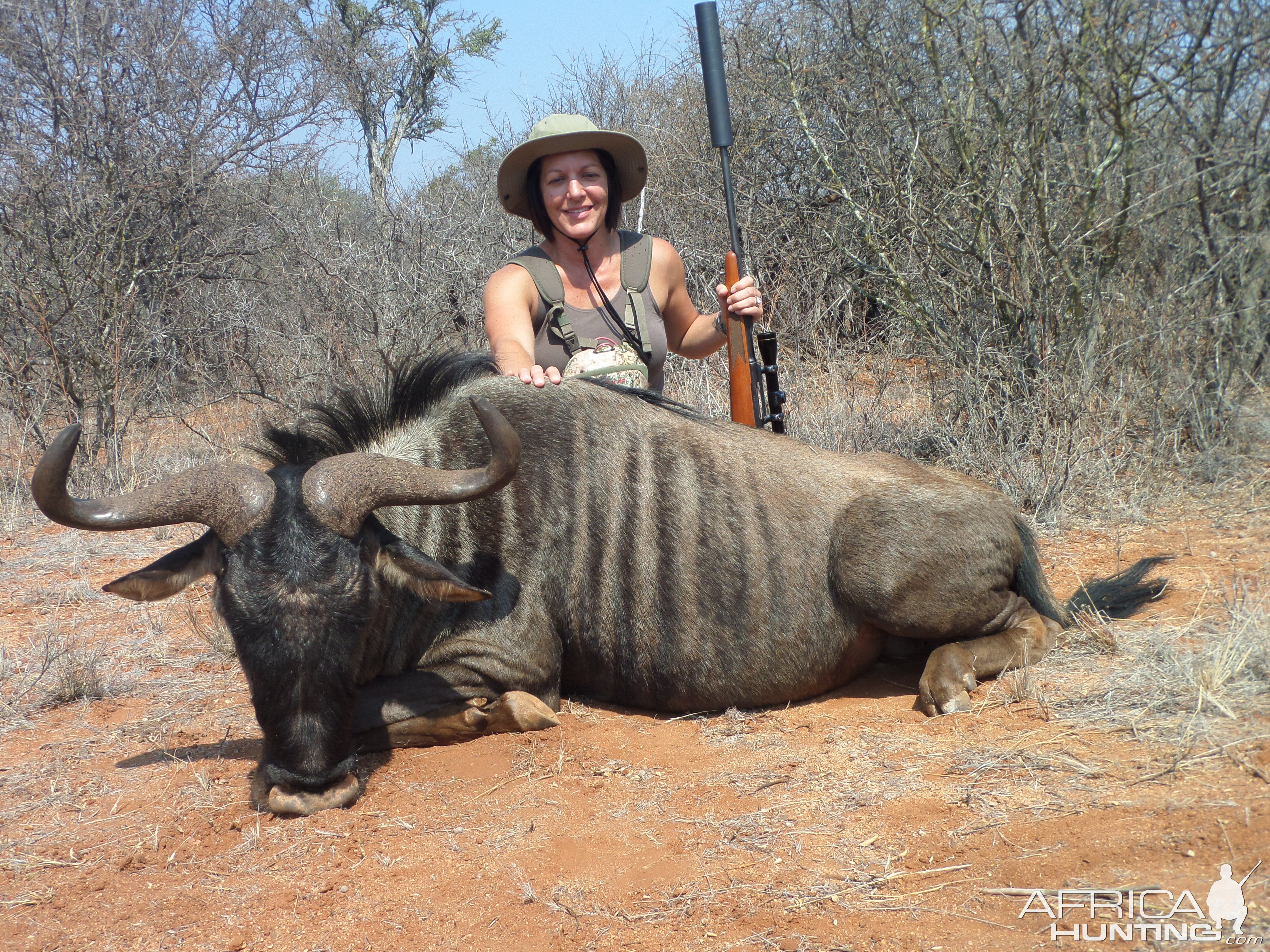 South Africa Hunting Blue Wildebeest