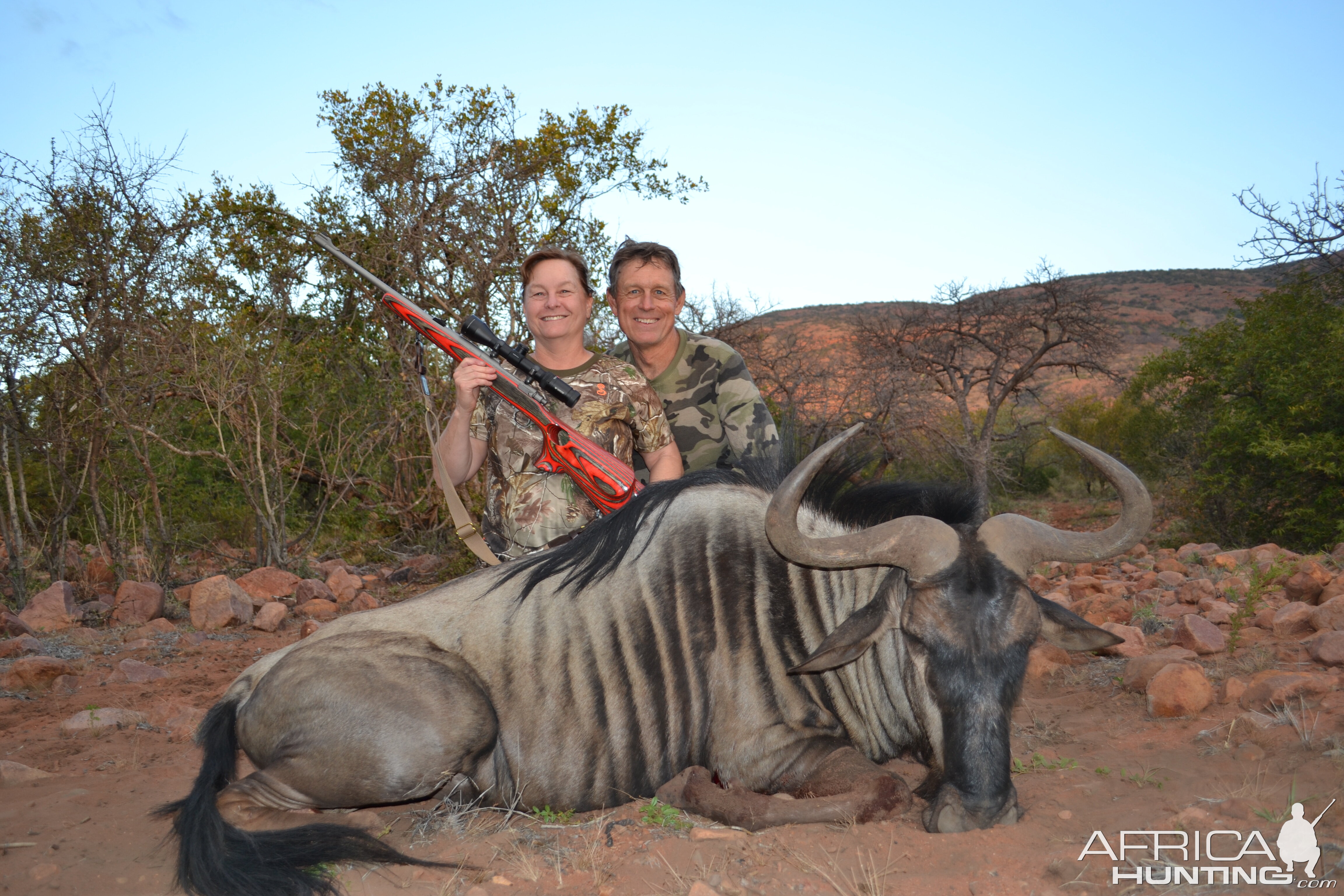 South Africa Hunting Blue WIldebeest