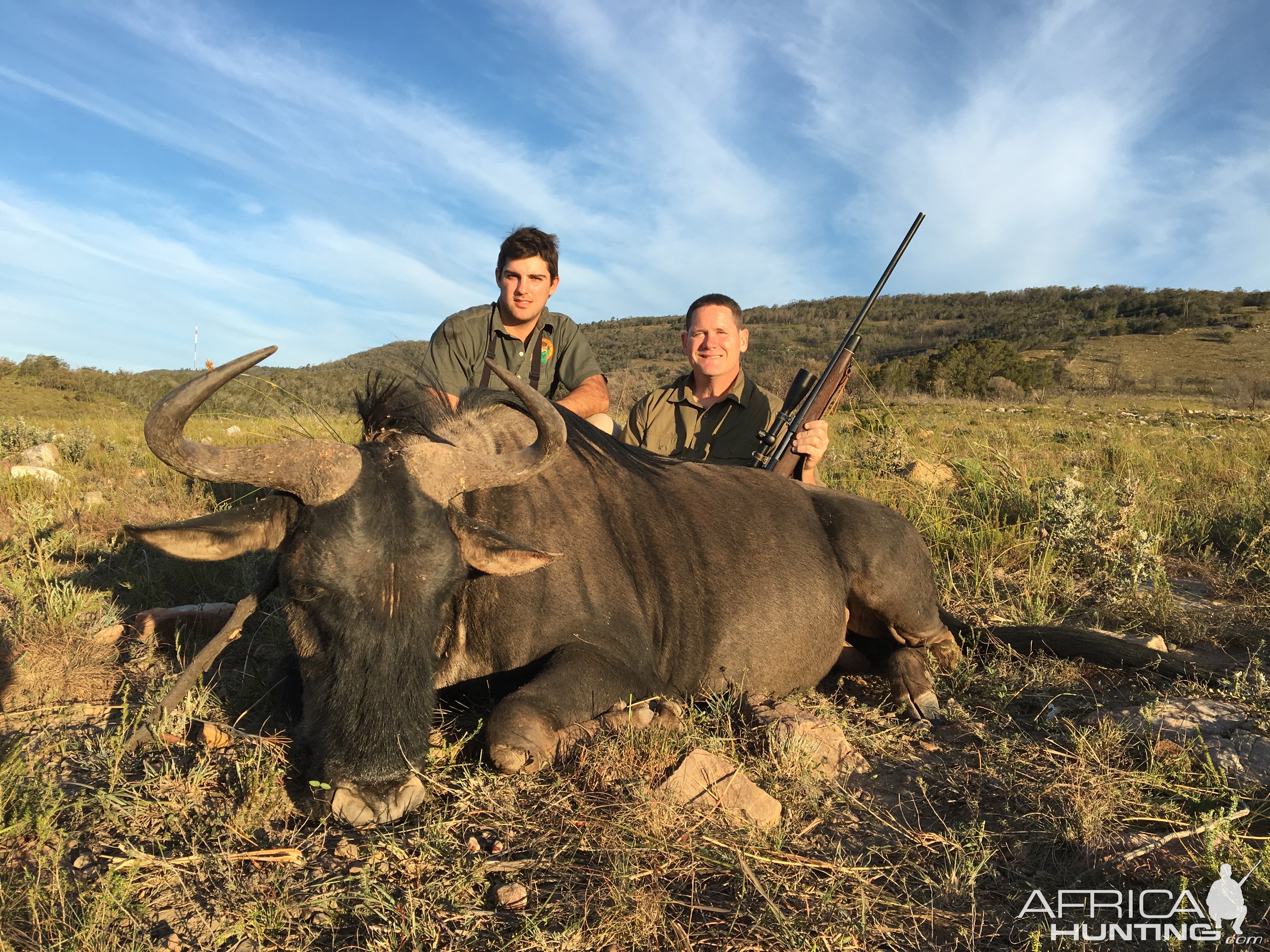 South Africa Hunting Blue Wildebeest