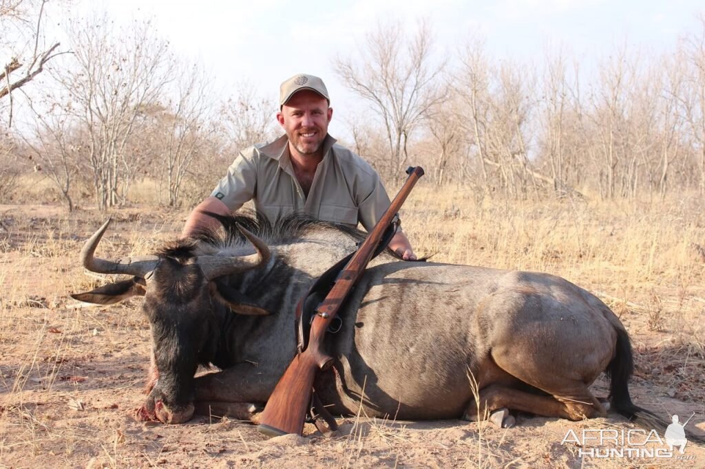 South Africa Hunting Blue Wildebeest