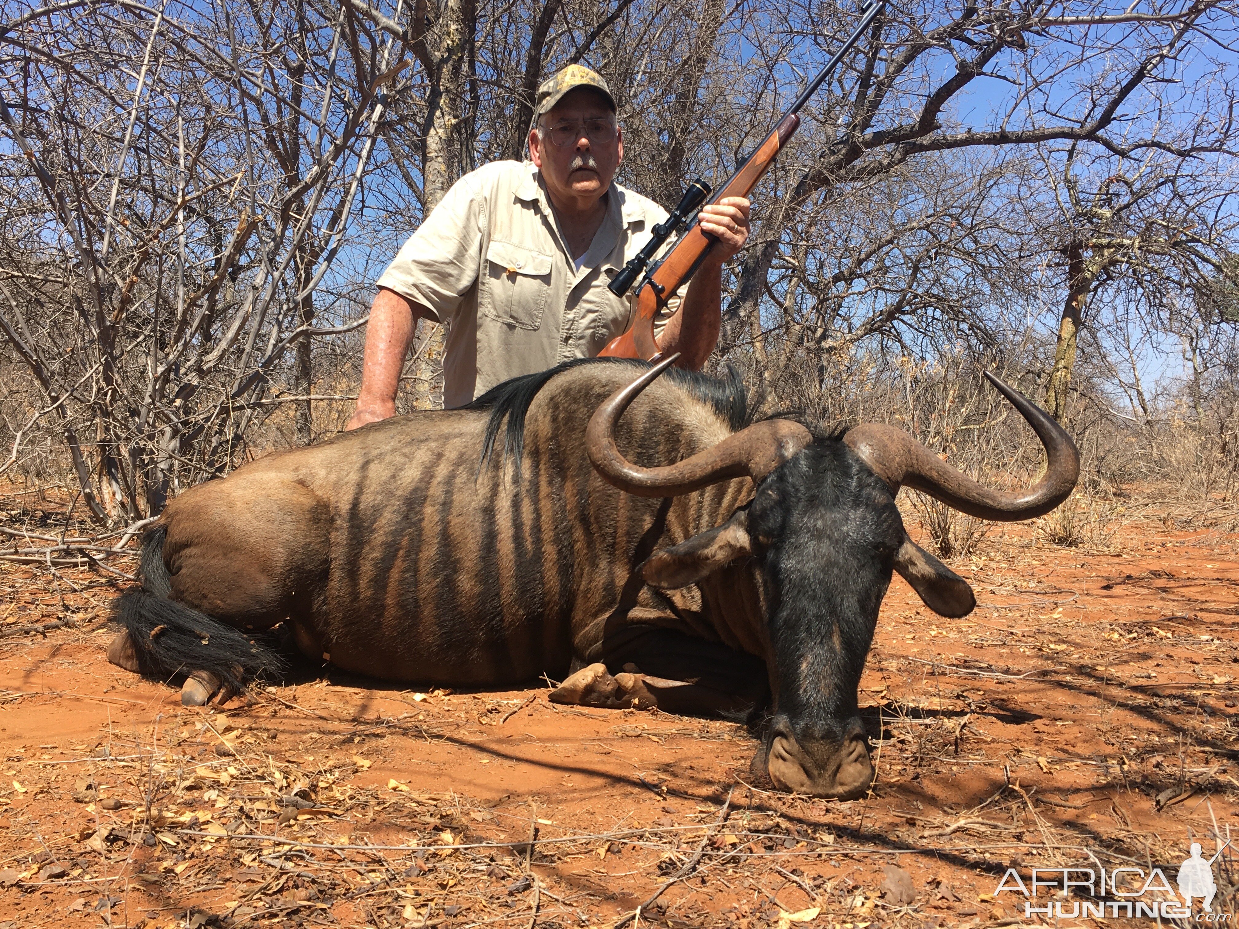 South Africa Hunting Blue WIldebeest