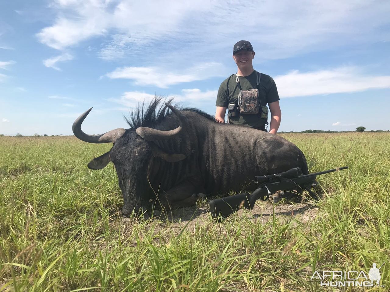 South Africa Hunting Blue Wildebeest