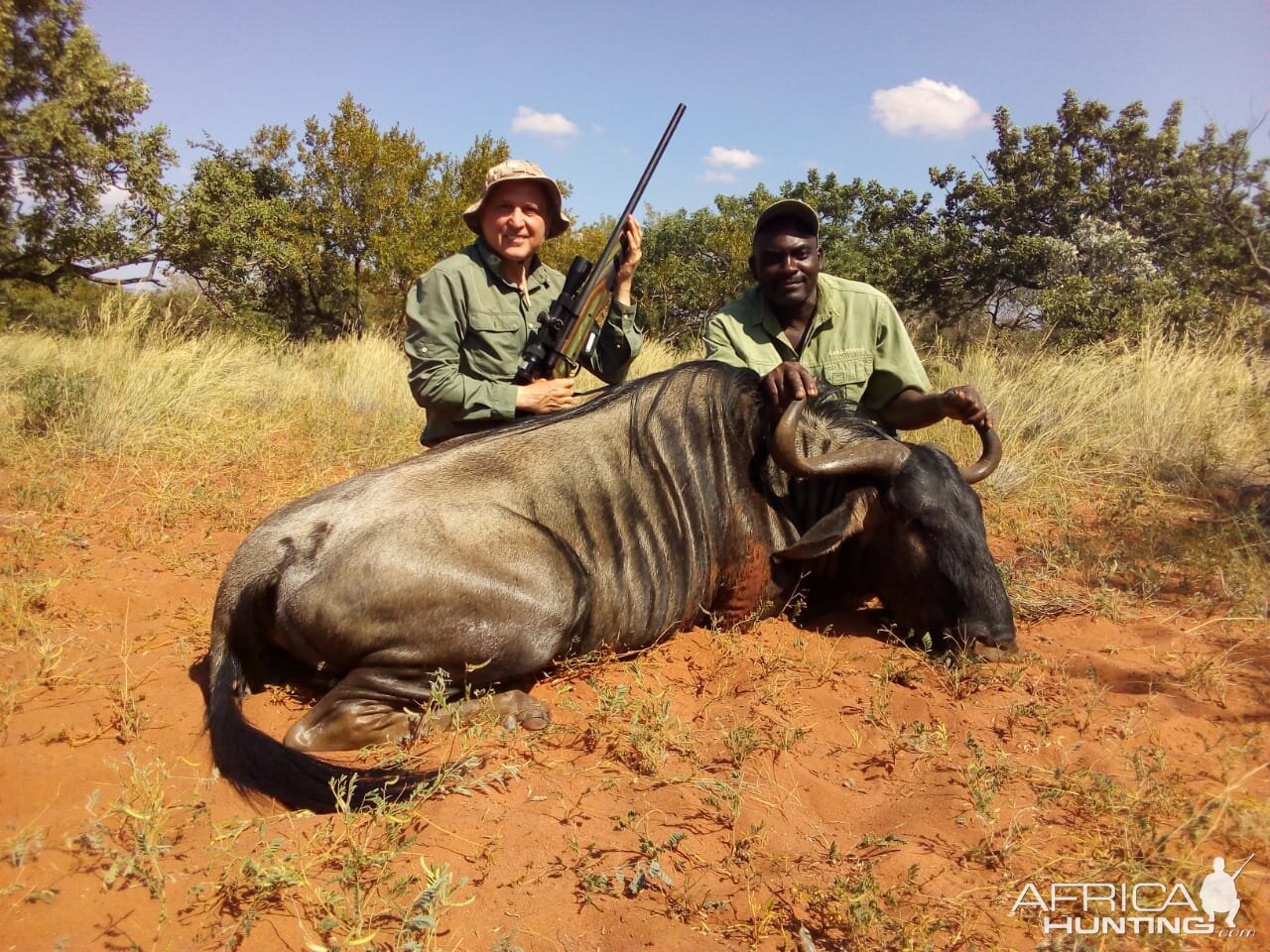 South Africa Hunting Blue Wildebeest