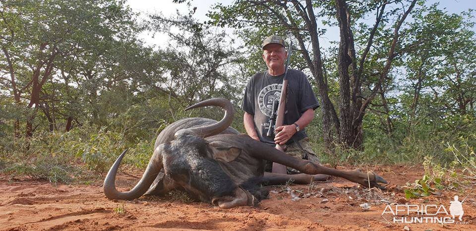 South Africa Hunting Blue Wildebeest