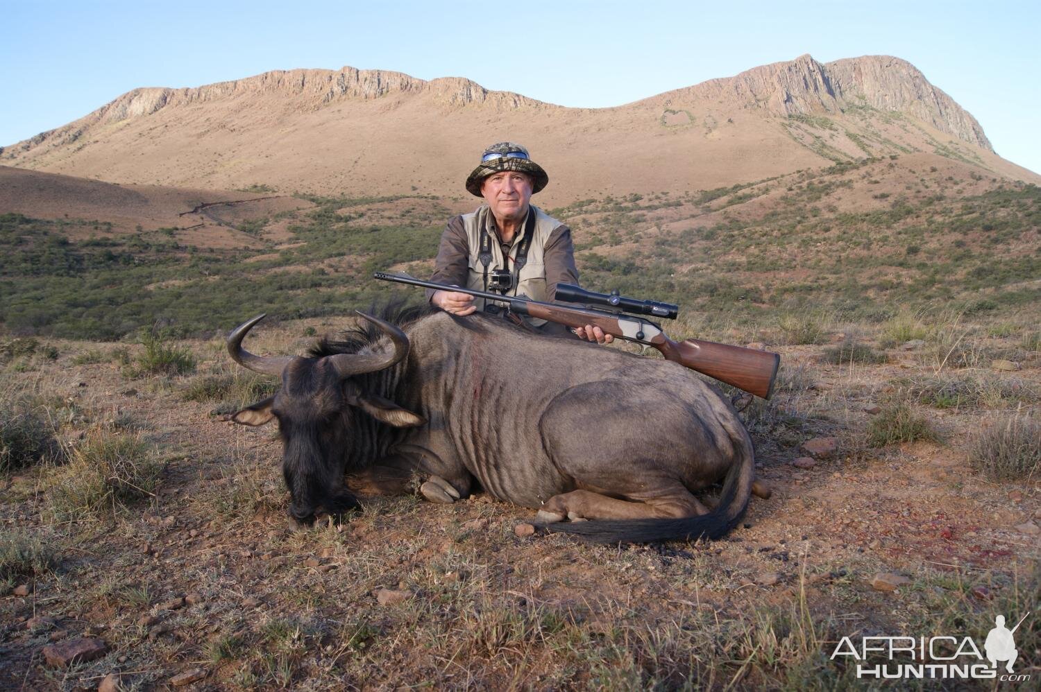 South Africa Hunting Blue Wildebeest