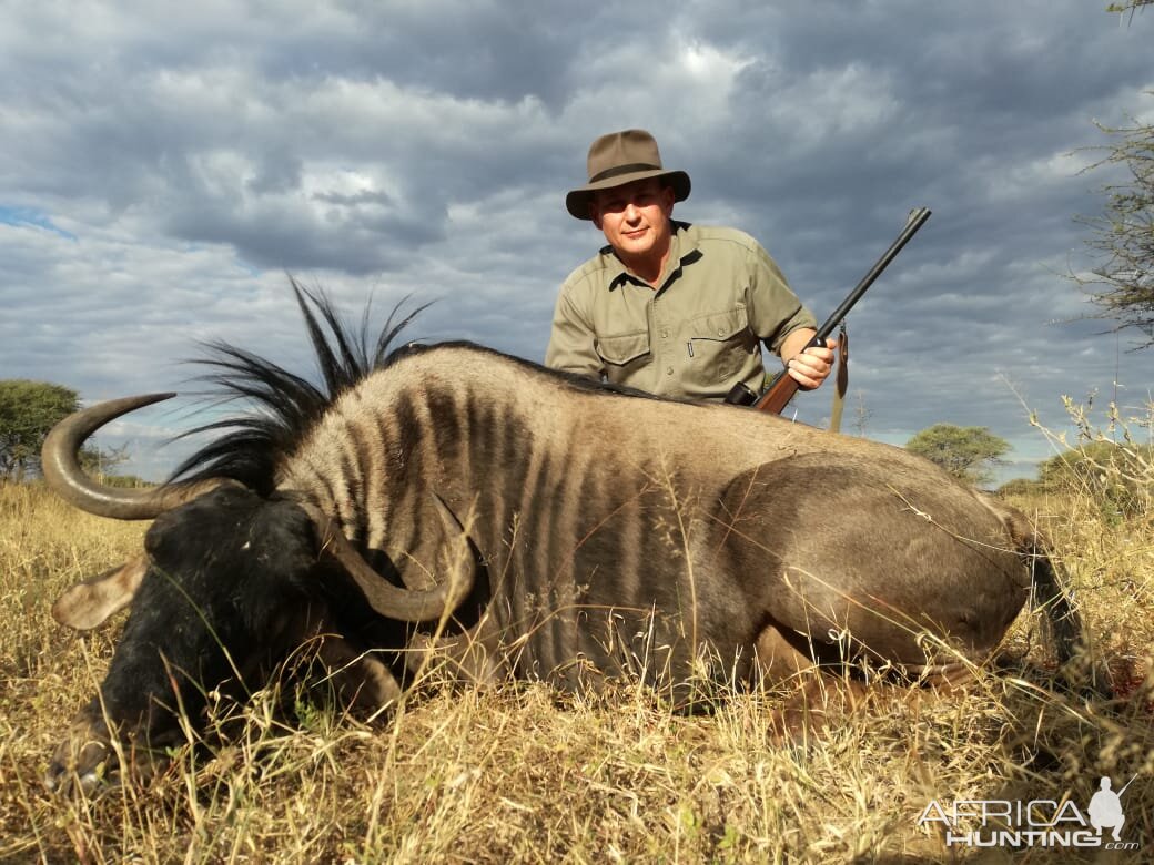 South Africa Hunting Blue Wildebeest