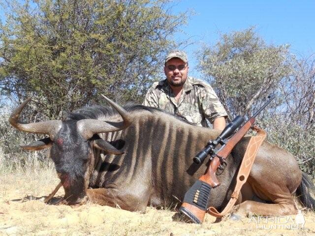 South Africa Hunting Blue Wildebeest