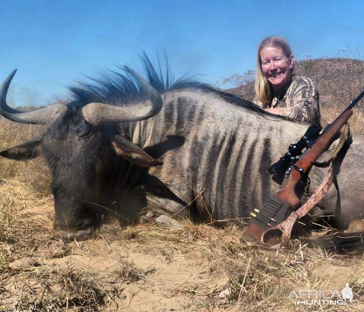 South Africa Hunting Blue Wildebeest