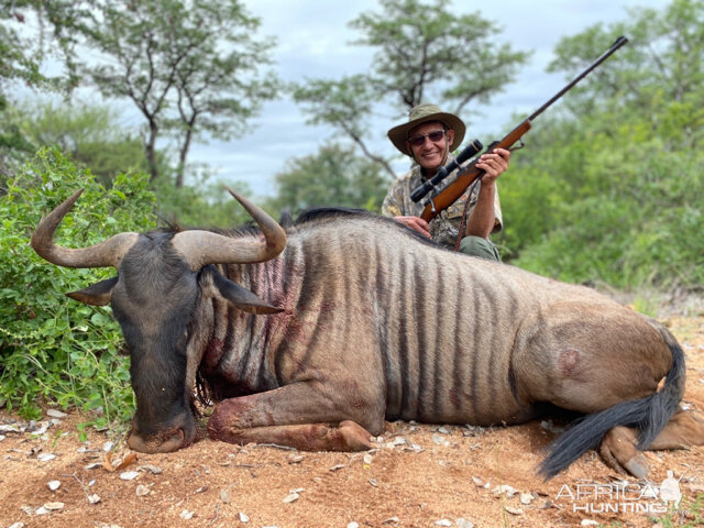 South Africa Hunting Blue Wildebeest