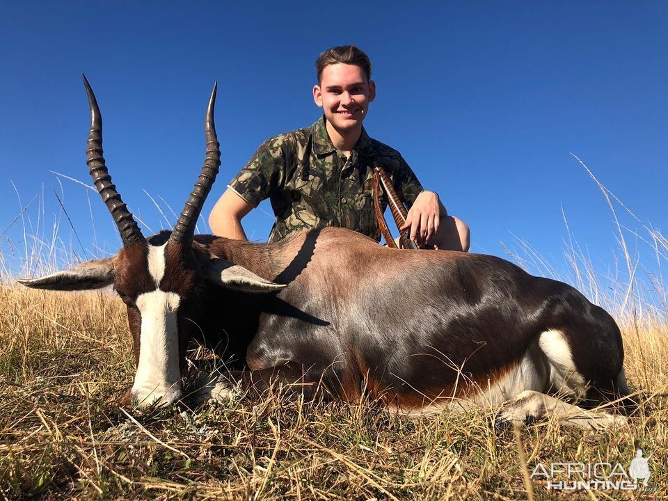 South Africa Hunting Bontebok