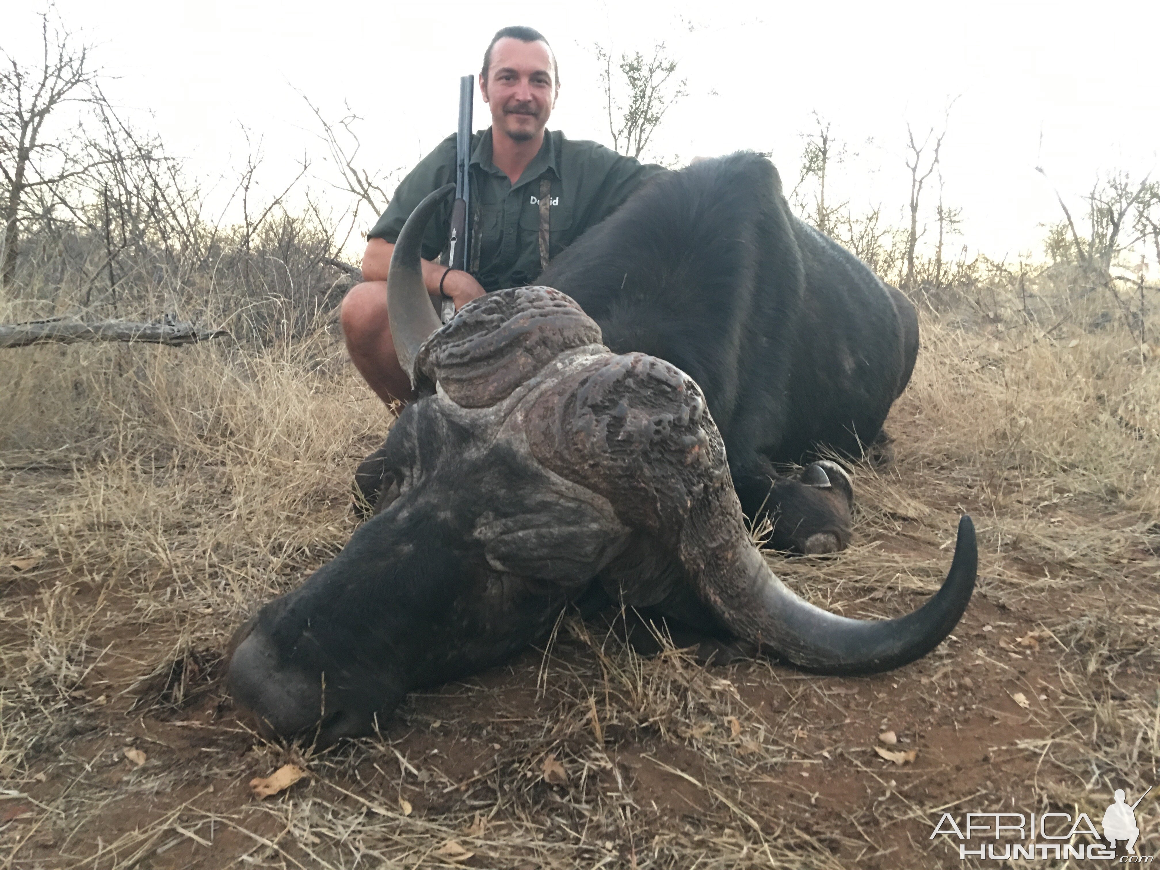 South Africa Hunting Buffalo