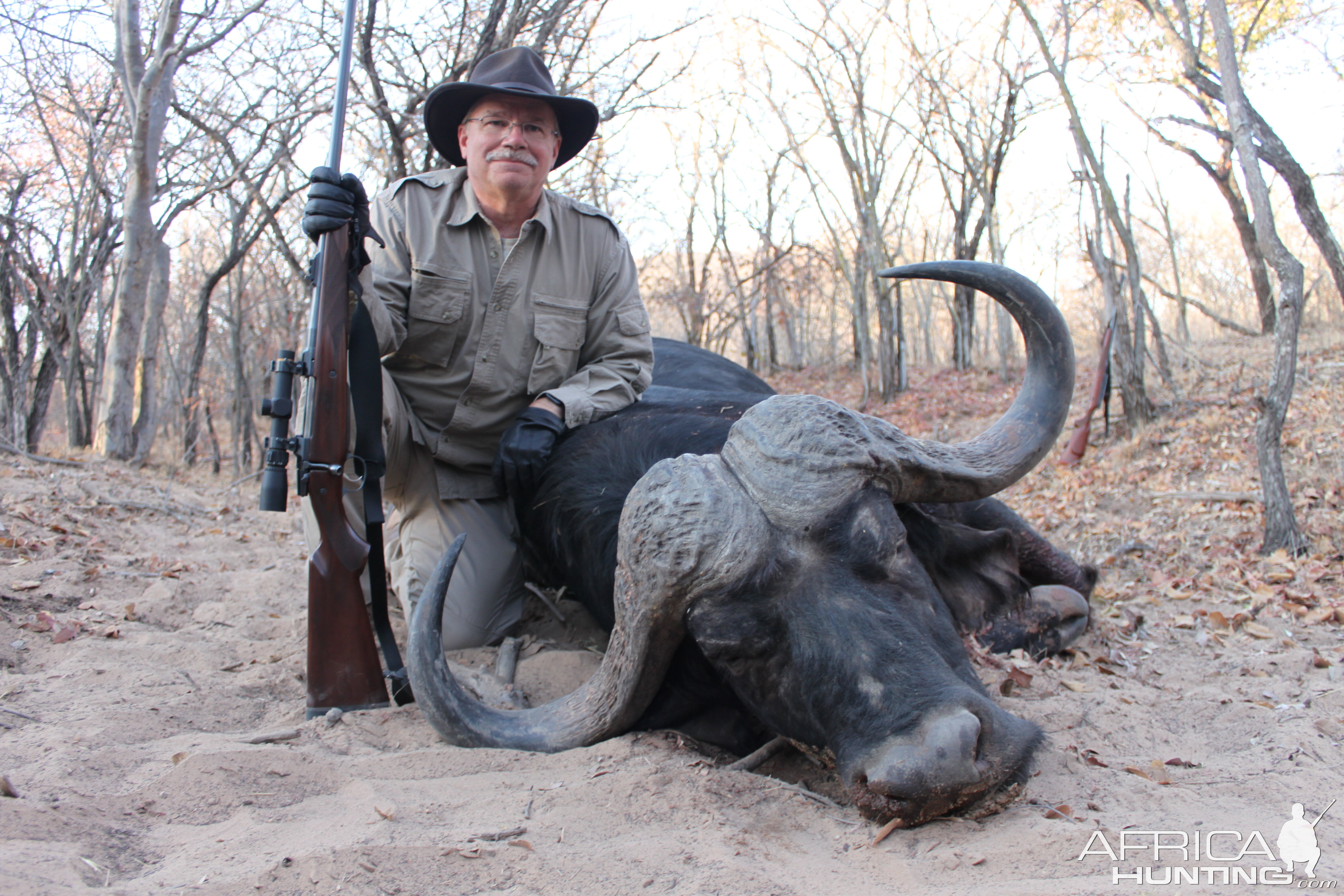 South Africa Hunting Buffalo