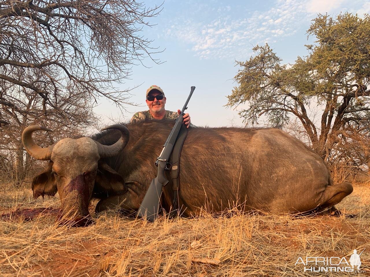 South Africa Hunting Buffalo