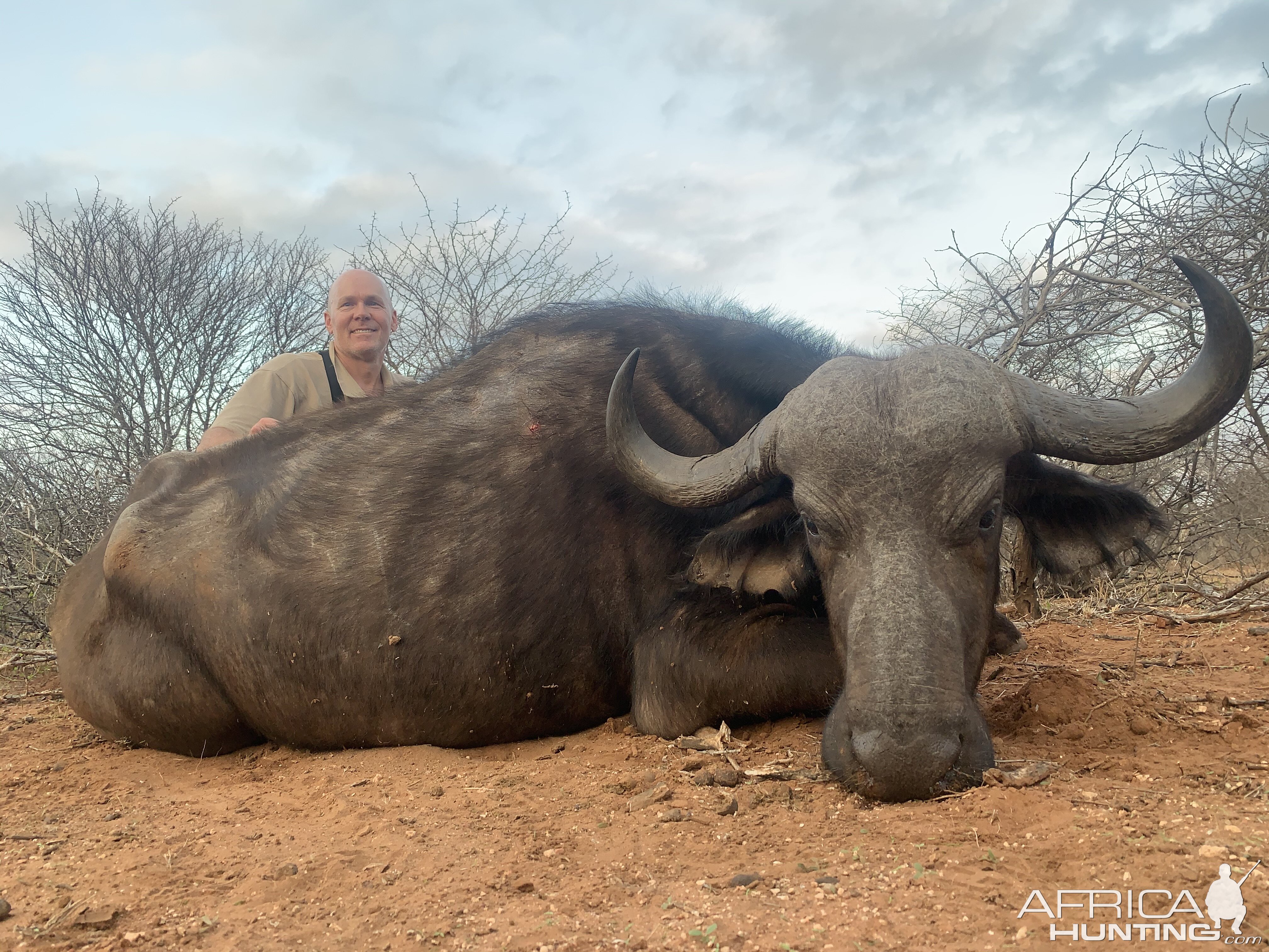 South Africa Hunting Buffalo