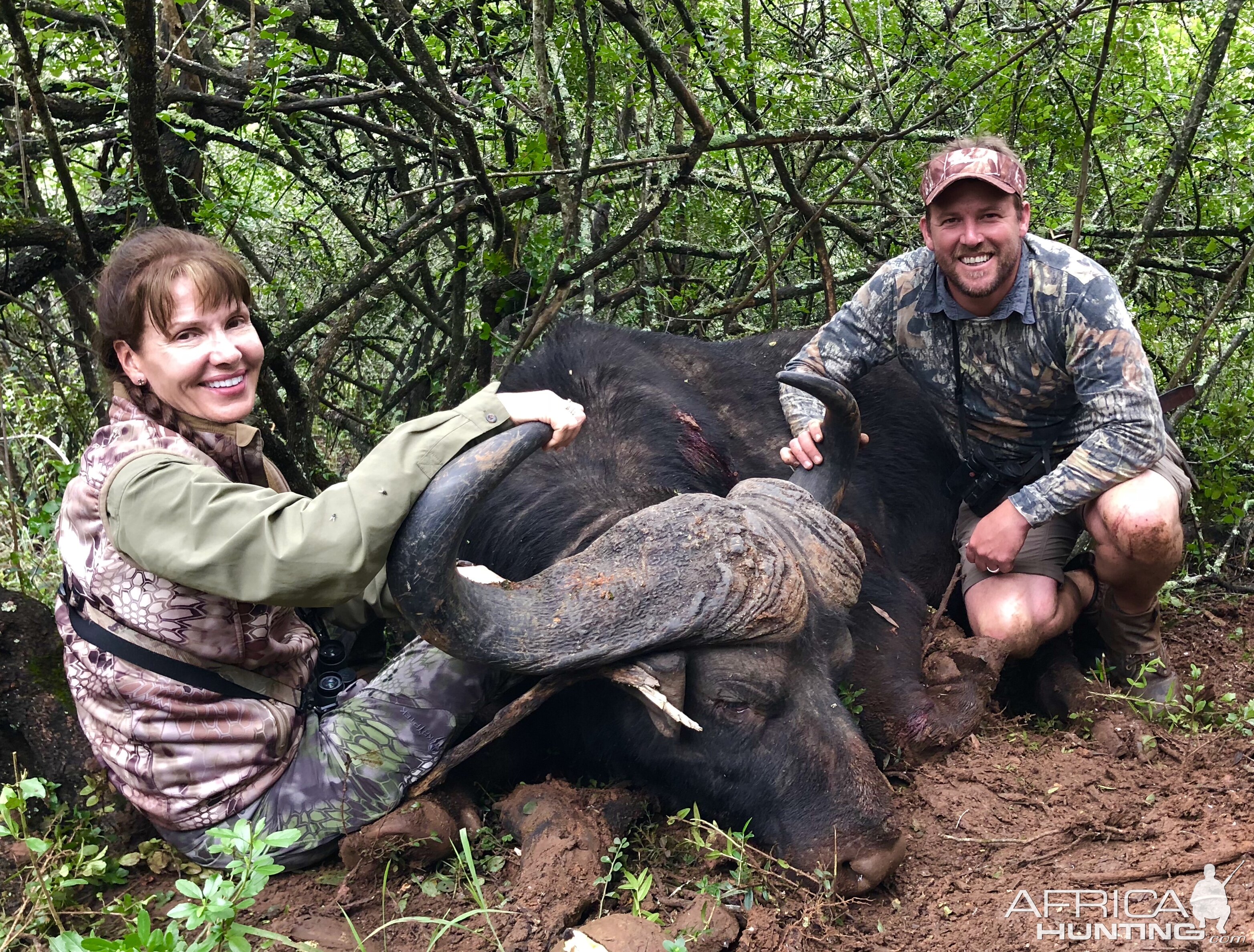 South Africa Hunting Buffalo