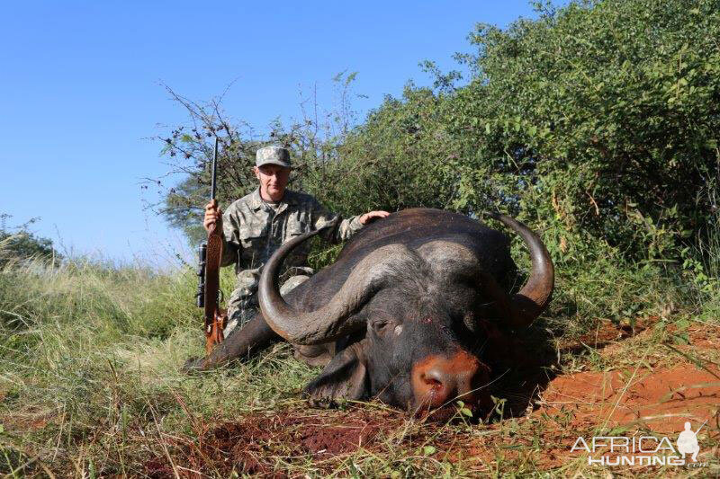 South Africa Hunting Buffalo