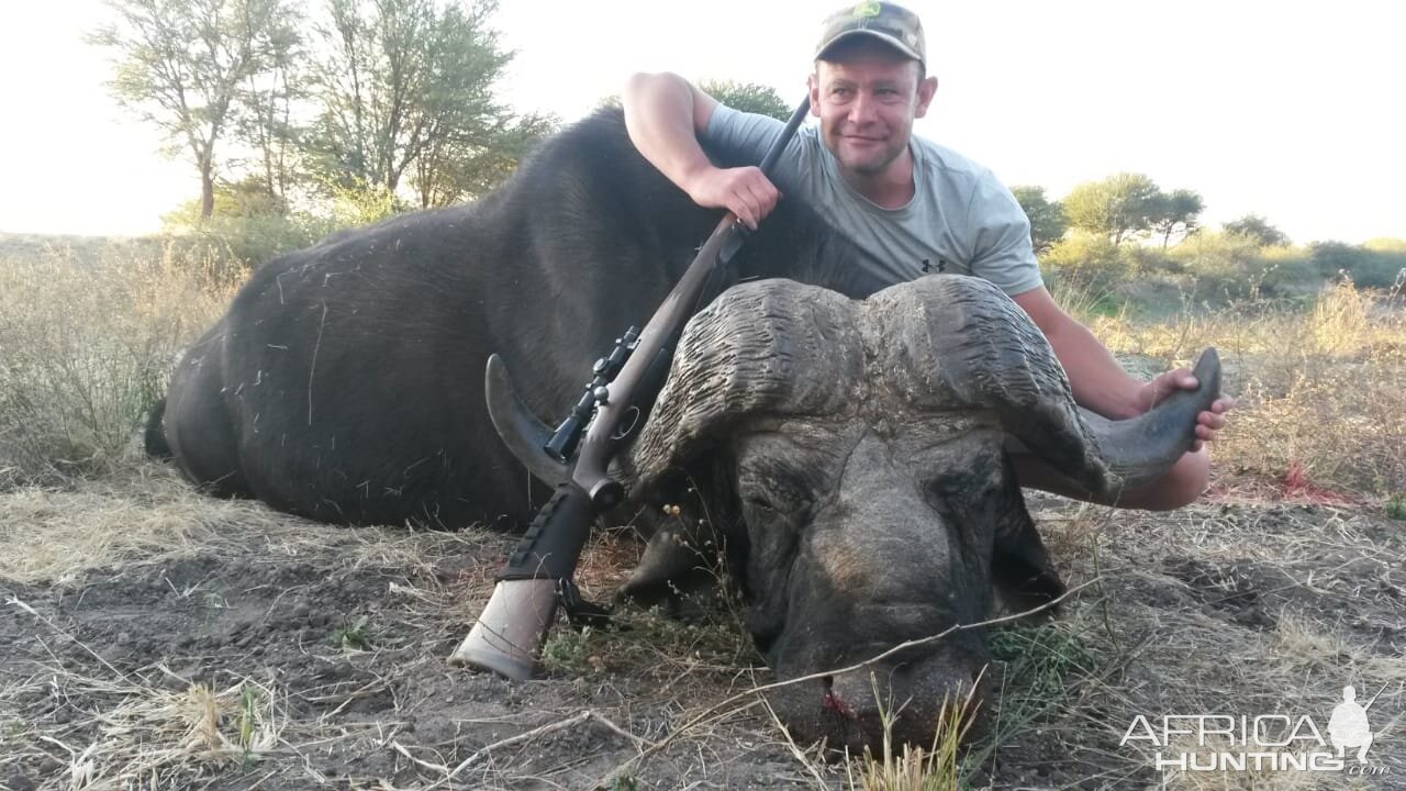 South Africa Hunting Buffalo