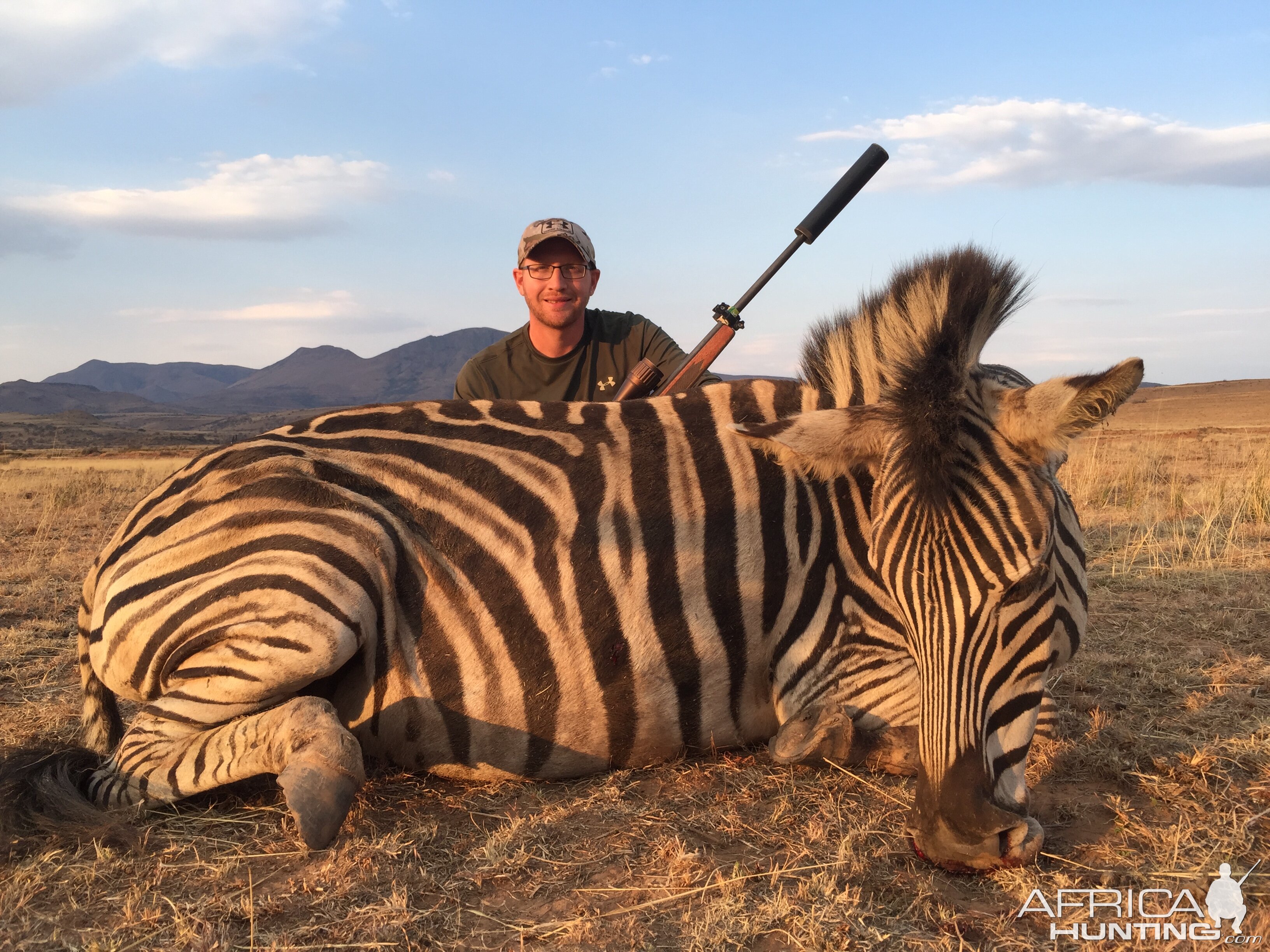 South Africa Hunting Burchell's Plain Zebra