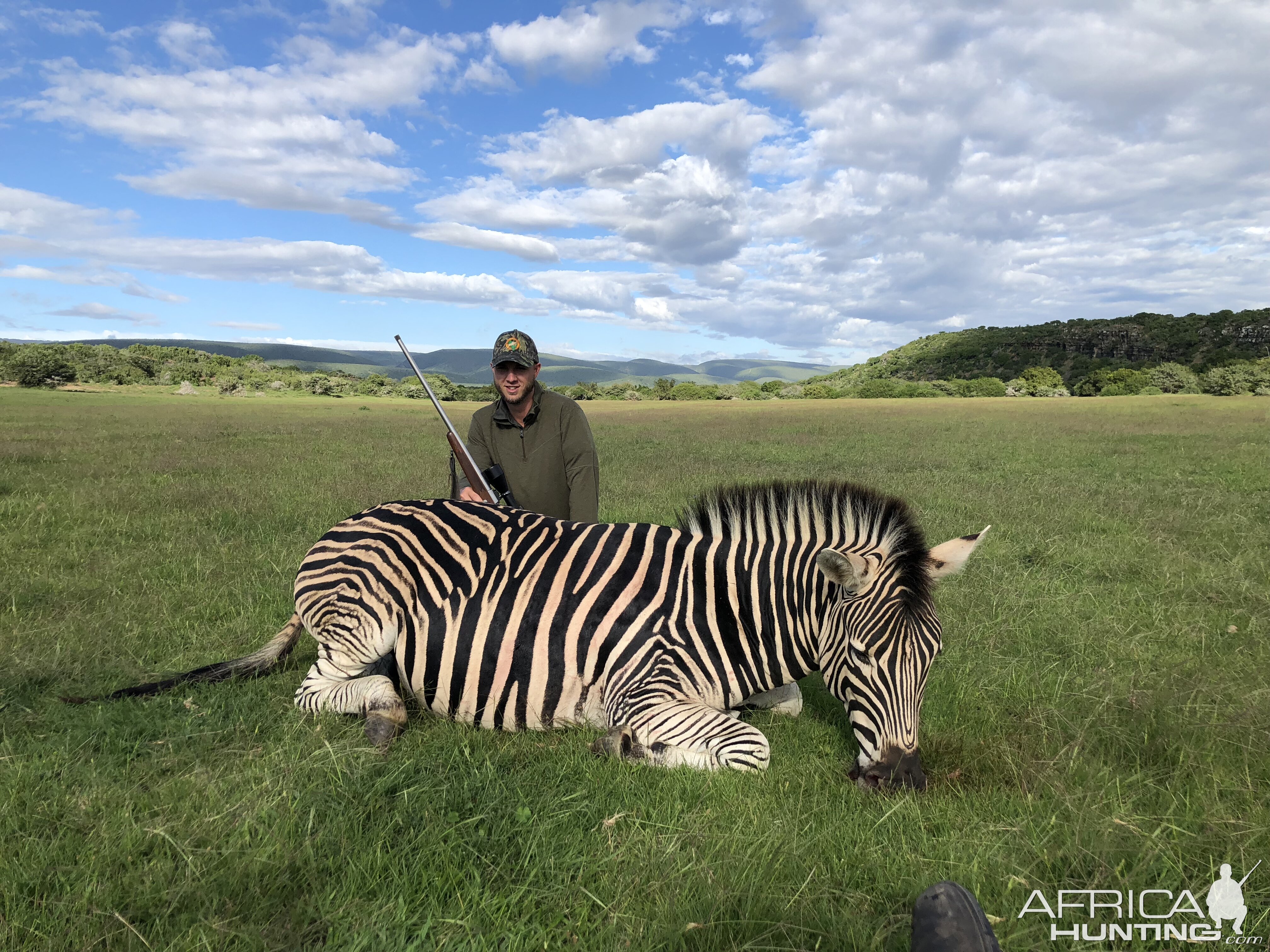 South Africa Hunting Burchell's Plain Zebra