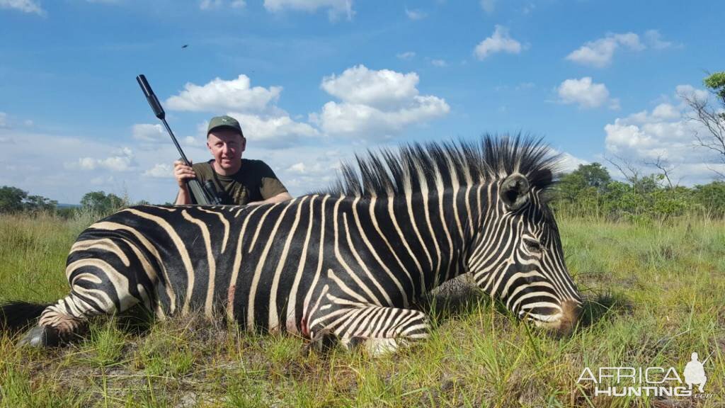 South Africa Hunting Burchell's Plain Zebra