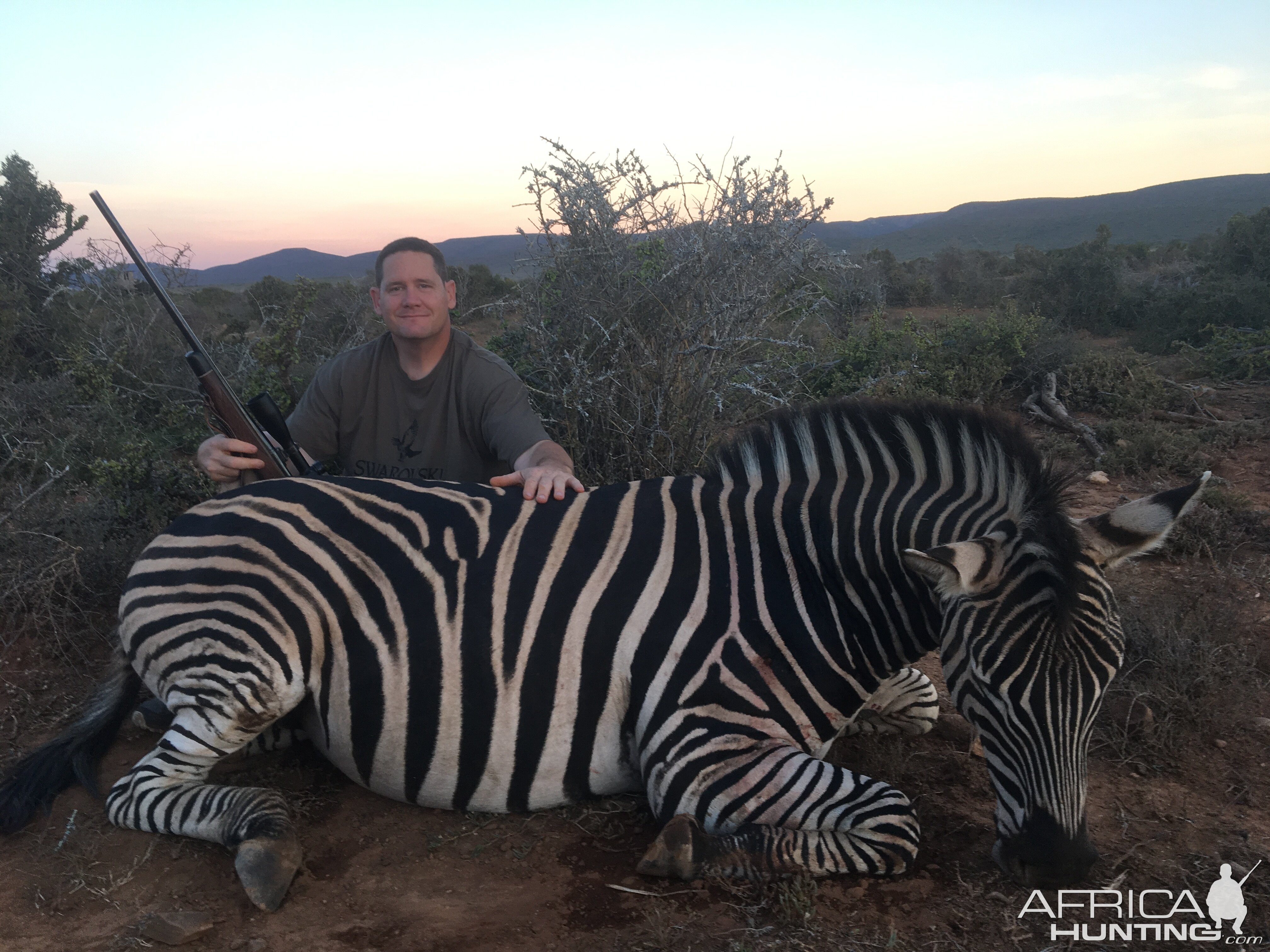 South Africa Hunting Burchell's Plain Zebra