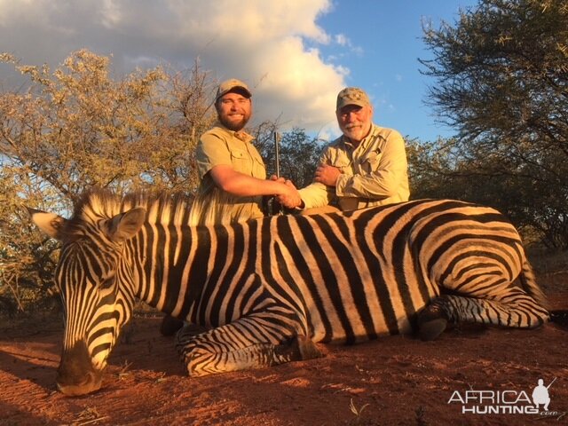 South Africa Hunting Burchell's Plain Zebra