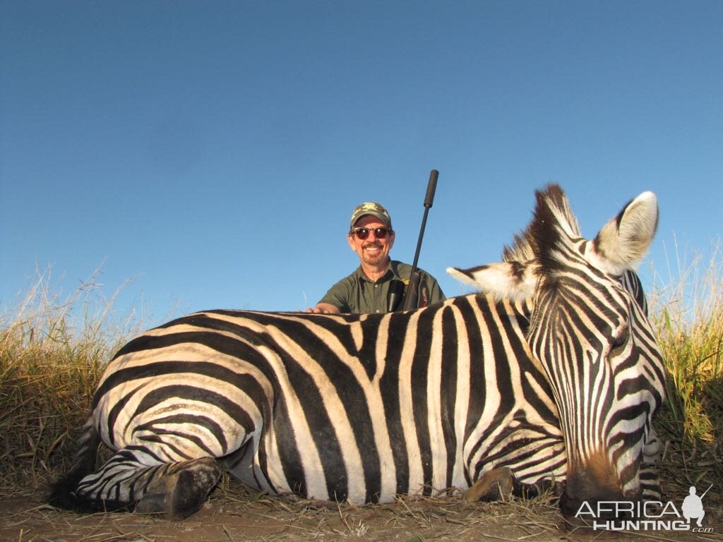 South Africa Hunting Burchell's Plain Zebra