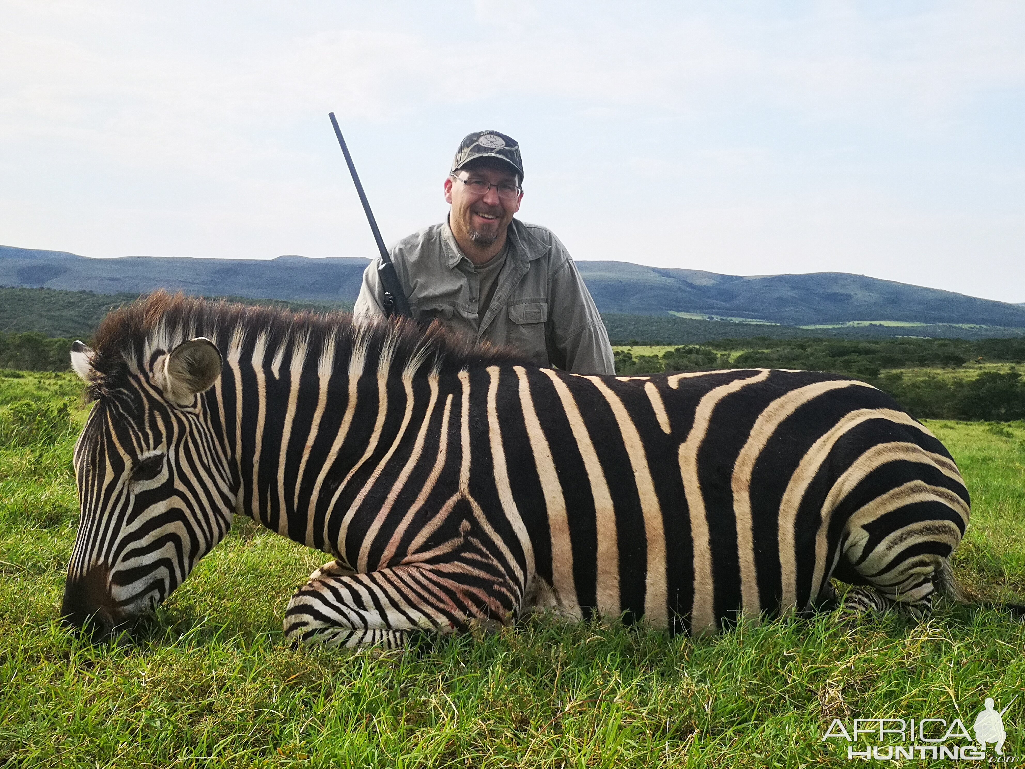 South Africa Hunting Burchell's Plain Zebra