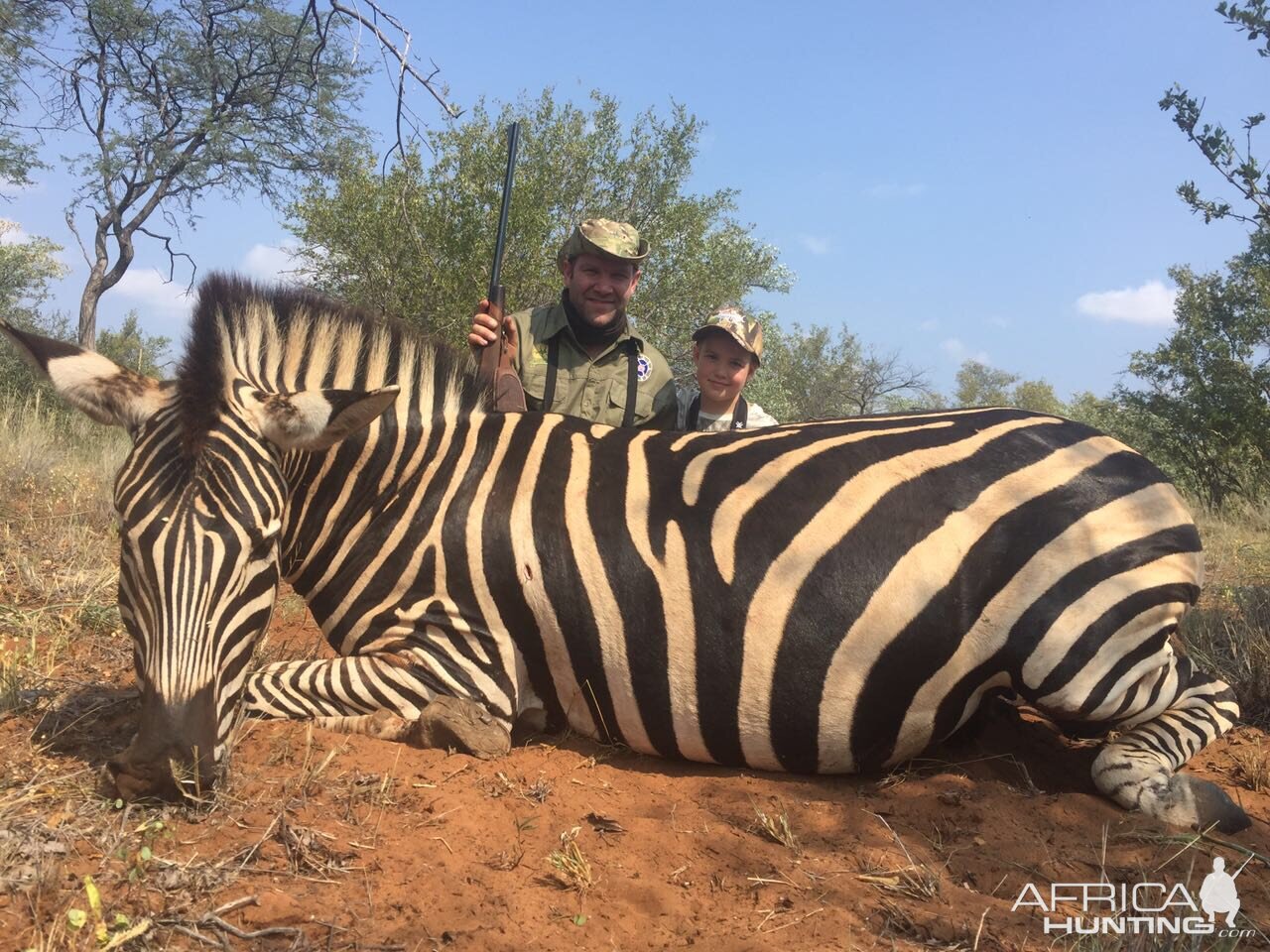 South Africa Hunting Burchell's Plain Zebra