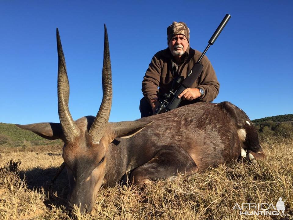 South Africa Hunting Bushbuck