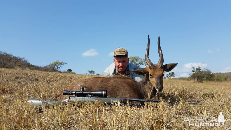 South Africa Hunting Bushbuck