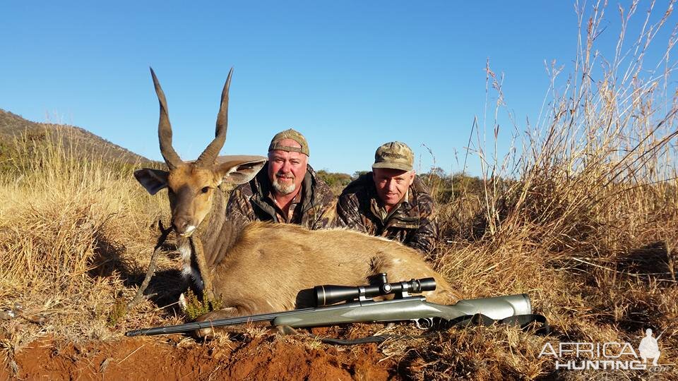 South Africa Hunting Bushbuck