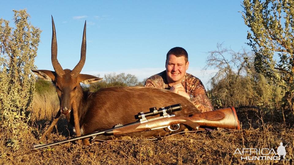 South Africa Hunting Bushbuck