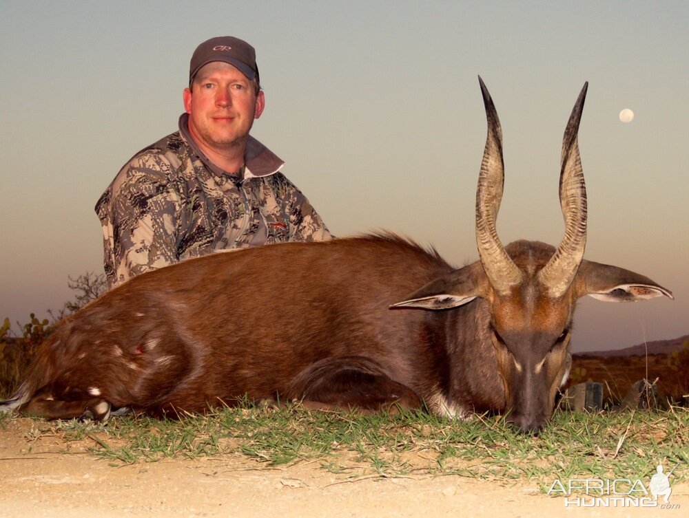 South Africa Hunting Bushbuck