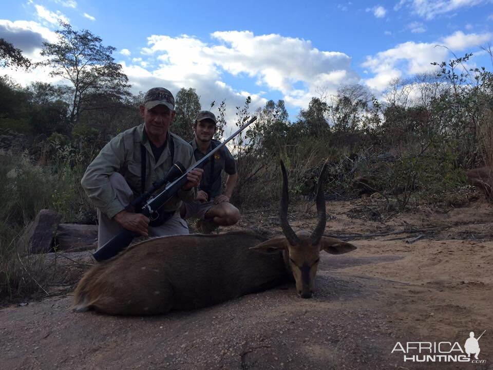 South Africa Hunting Bushbuck