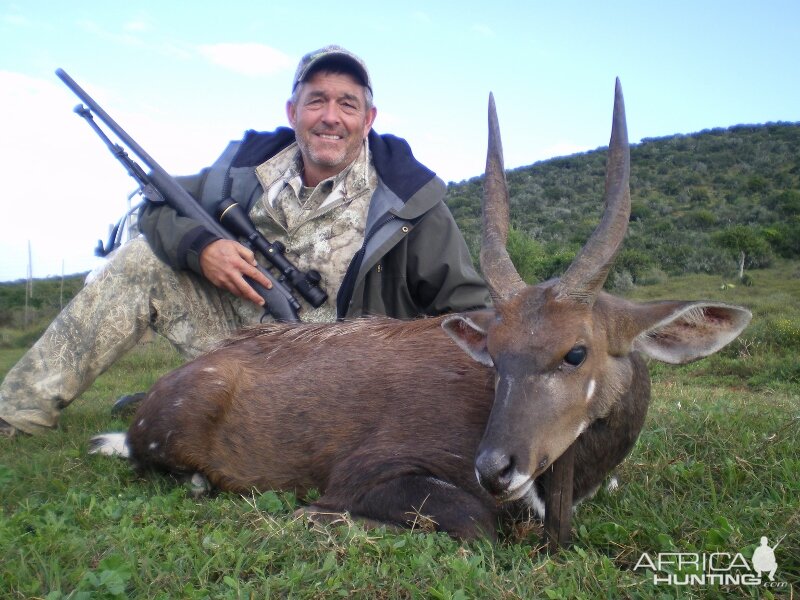 South Africa Hunting Bushbuck