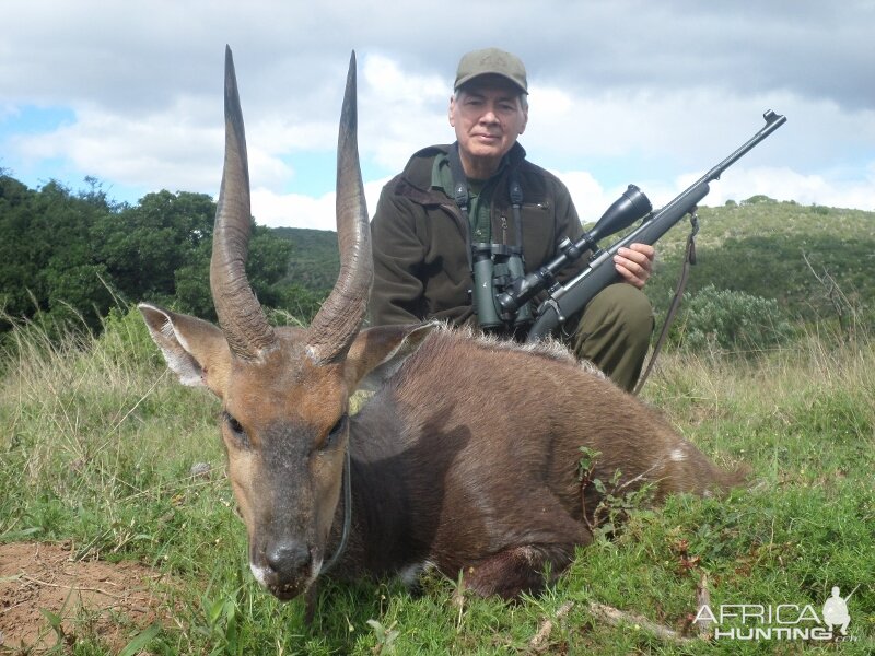 South Africa Hunting Bushbuck