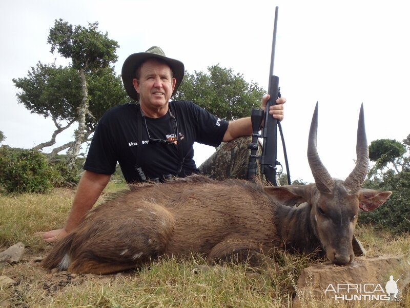 South Africa Hunting Bushbuck