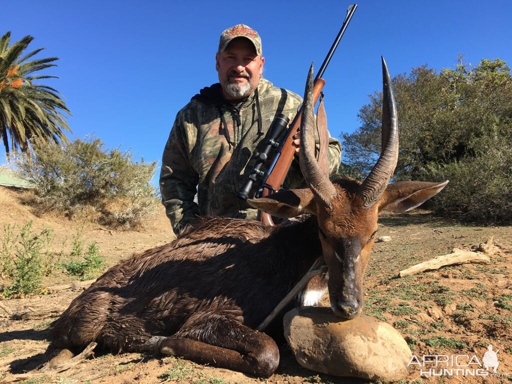 South Africa Hunting Bushbuck