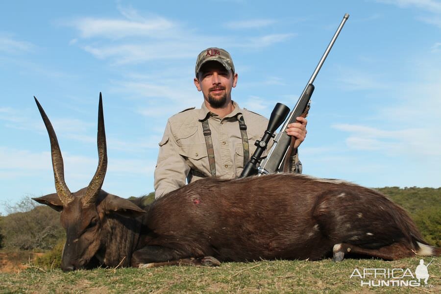 South Africa Hunting Bushbuck