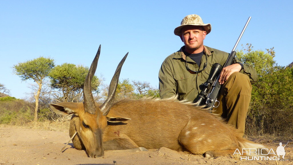 South Africa Hunting Bushbuck