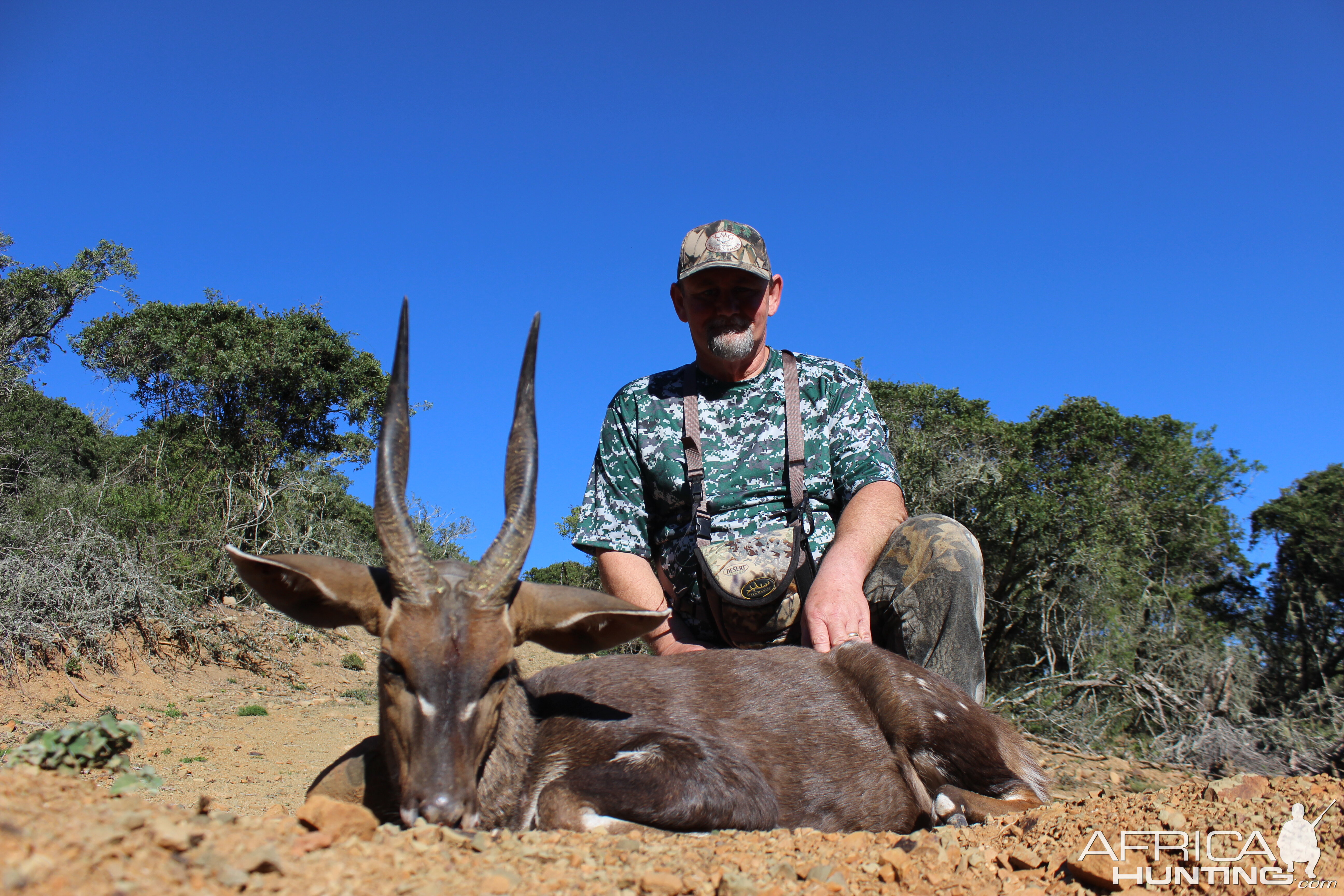 South Africa Hunting Bushbuck