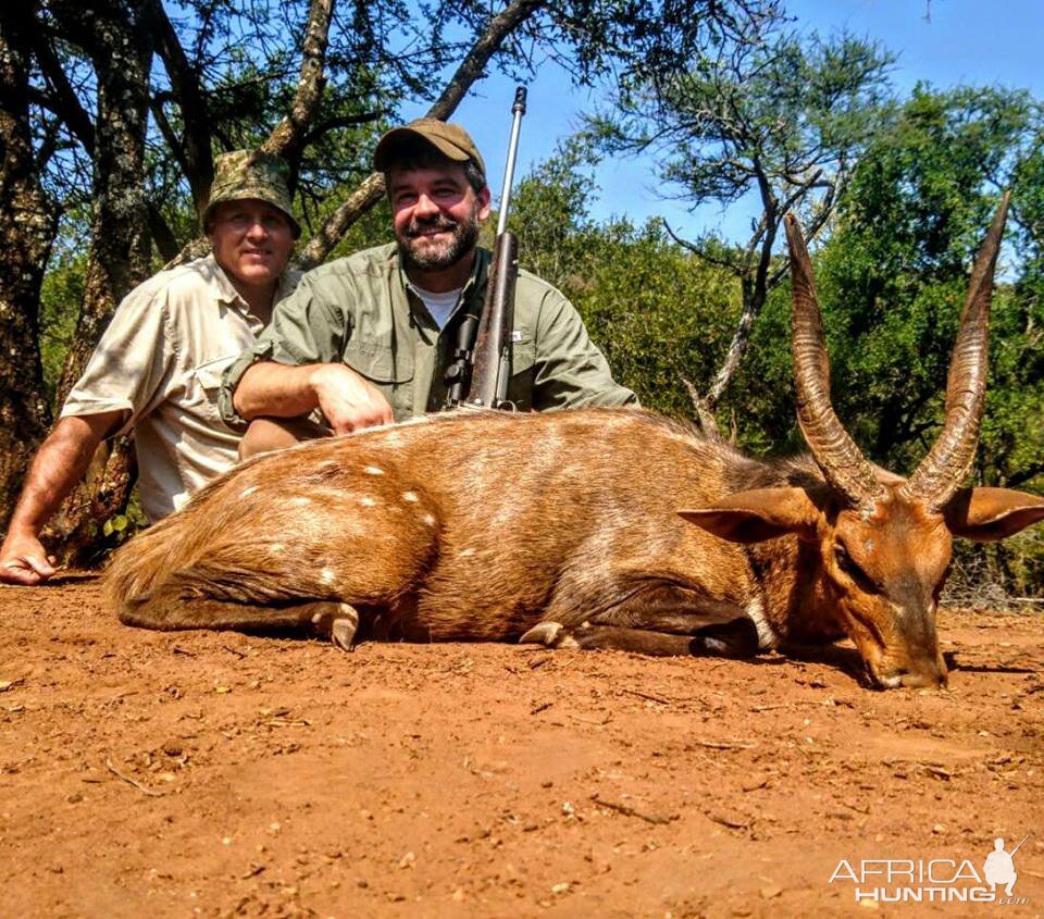 South Africa Hunting Bushbuck